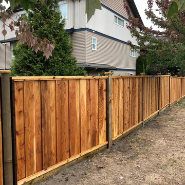 #1 grade cedar overlap board panels + pre stain 200+ linear feet