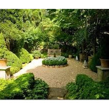 Landscape Ideas