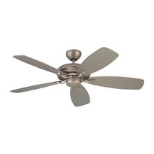Kate: Ceiling Fans