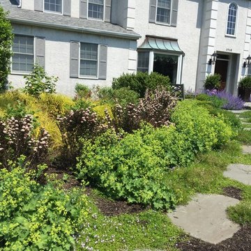 Native Landscape