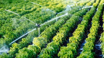 Irrigation and Drainage Systems