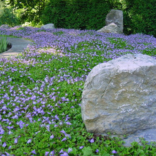 Artificial Ground Cover | Houzz