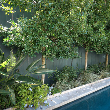 Webster Street | Layered Poolside Privacy Border