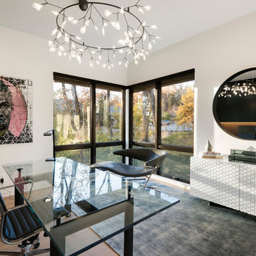 Wayzata Woods Modern