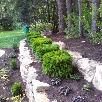 Back Yard Renovation