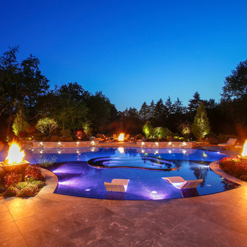 Barrington Hills, IL Freeform Perimeter Overflow with Perimeter Overflow Hot Tub