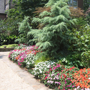 Garden Vignettes