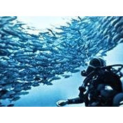 Ernesto Ricaud's photo