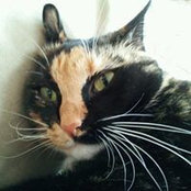 Rebecca Steffens's photo