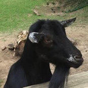 Joseph Manley's photo