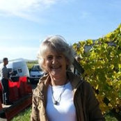 Sue Style's photo