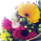 Maureen Broins's photo