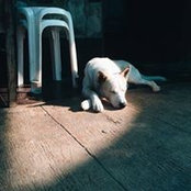 Foto de Whi Te
