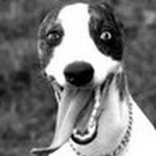 Ken Howe's photo