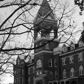 Donna Lamb's photo