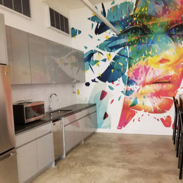 Kitchen Remodels