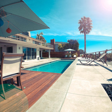Modern Pool w/ Ipe Deck
