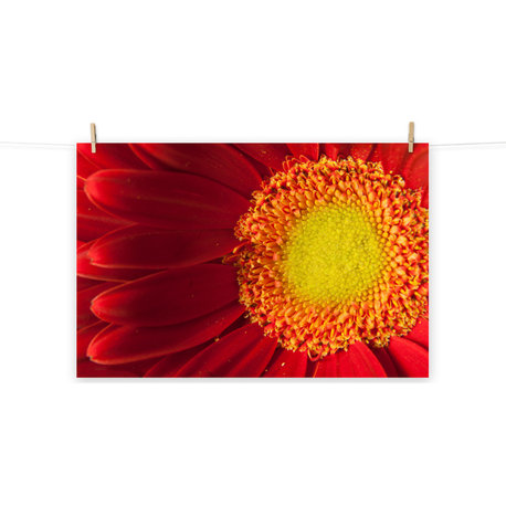 Nature's Beauty Nature Photography, Floral Unframed Wall Art Print, 8" X 10"