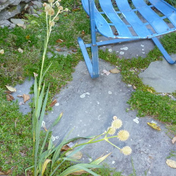 Catskill Mountain Project