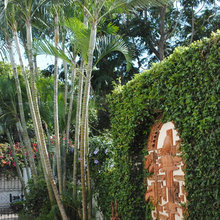 outdoor wall ideas
