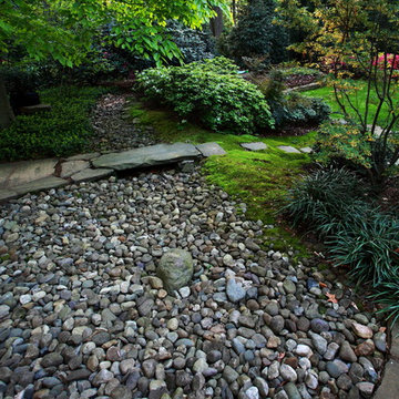 An Amazing Shade Garden