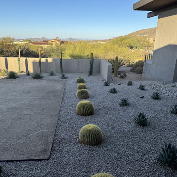 Cactus-Centric, Desert Refined in Scottsdale