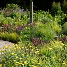 Garden ideas