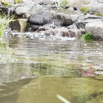 Natural Stream & Waterfall Detail