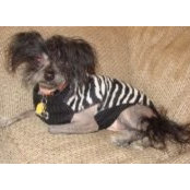 Maureen Henderson's photo