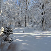 Nancy C's photo