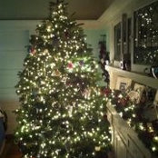 Dawn Bancroft's photo