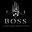 Boss Luxury Home Entertainment