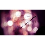 Hana Hajjar's photo