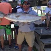 John Lyman's photo