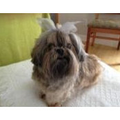 Lisa Newberry's photo