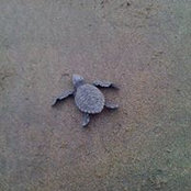 Mary Dennison's photo