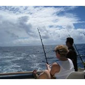 Tammy Ramer's photo