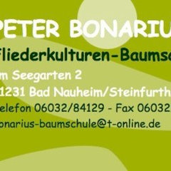Peter Bonarius, Fliederkulturen - Baumschulen