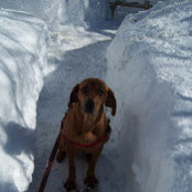 Steven Siegel's photo