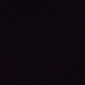 Ellie Flower's photo