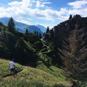 Mathias Wölfl's photo