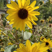 Cindy O'Donnell's photo
