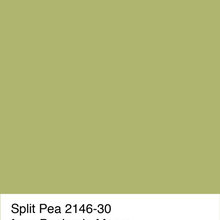 Paint Colors