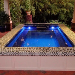 Original Endless Pools&reg; - Lifestyle And Leisure