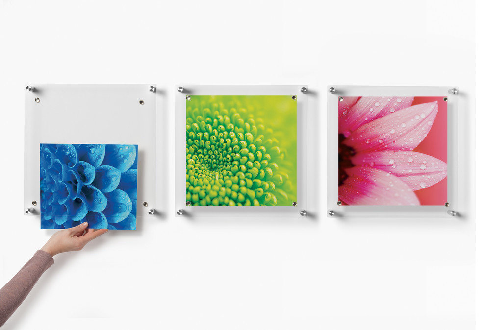 Trio Set of 3 Square Floating Wall Frames, 14x14 - Contemporary ...