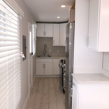 Kitchen Remodel/Renovation