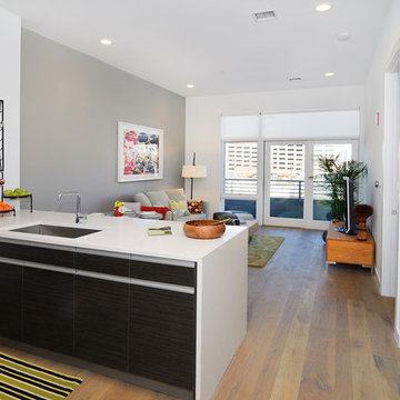 Edge Lofts