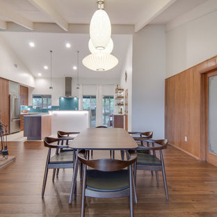 サンディエゴの広いミッドセンチュリースタイルのLDKの画像 (白い壁、標準型暖炉、石材の暖炉まわり、濃色無垢フローリング)