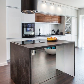 High Gloss Doors with Aluminum Integrated Handle