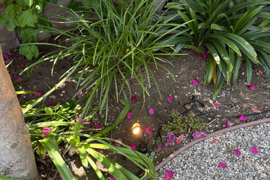 Landscape Lighting Upgrade & Transformer Installation